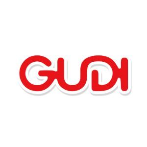 GUDI