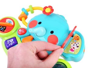 Играчка пиано, Интерактивна, За бебета над 6 месеца