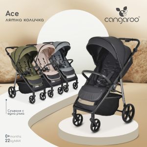 Лятна количкa Ace Frost-gray