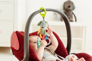 Висулка Striped Dog 81998