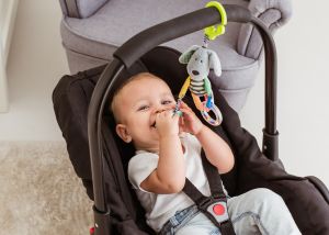 Висулка Striped Dog 81998