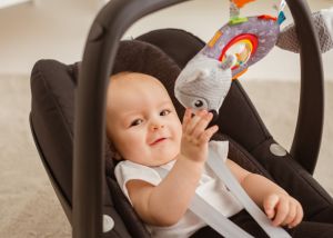 Играчка лисичка с вътяща се сфера 80790