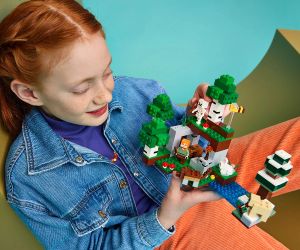 LEGO Minecraft 21593 – Първото нощно приключение, 301 части